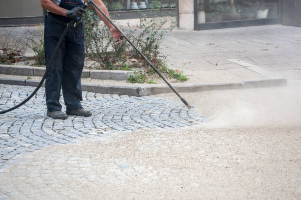Best House Exterior Washing  in Holley, NY