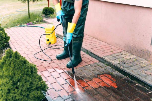 Best Roof Washing  in Holley, NY