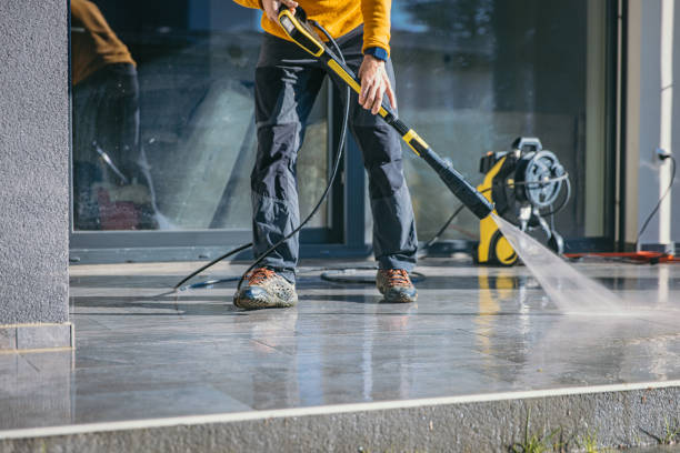 Best Solar Panel Cleaning  in Holley, NY