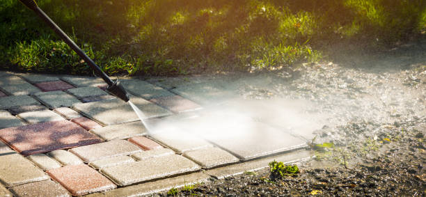 Best Fence Cleaning  in Holley, NY